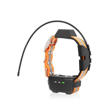 TR-koiran® kaulapantalaite